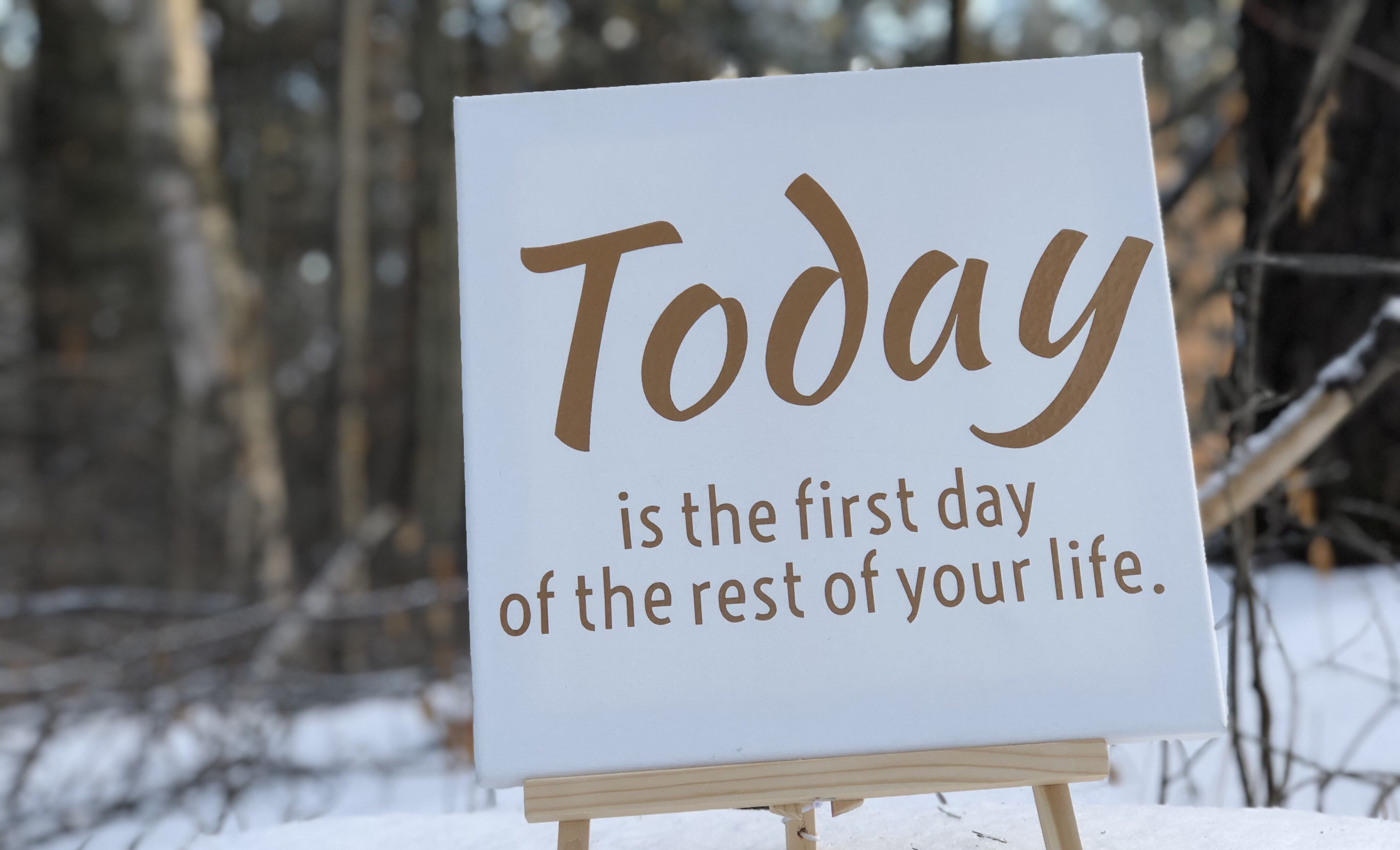 Perseverance quote: Today is the first day of the rest of your life.