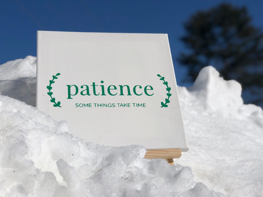 Canvas sign in the snow that says: Patience - some things take time